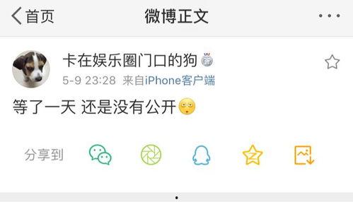 17吃瓜在线爆料,揭秘娱乐圈最新热点事件